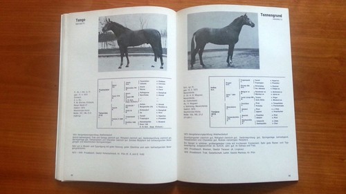 Trakehner hengstbuch 1976 - trakehner,