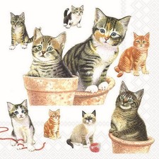 20 Servietten Cute Kittens