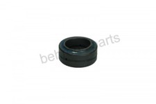 GE-Buchse d=30mm für Zepro