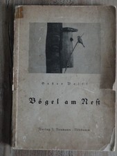 Ornithologie 1928 Nistplatz Nest Vogelkunde Avifauna Brutbiologie Vogelwelt