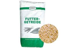 Weizen ohne Gentechnik