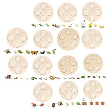 Life Cycle Brettspielzeug