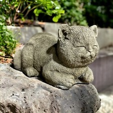 Entzückende schlafende katze - entzückende,