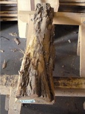 Akazie Robine Akazienholz