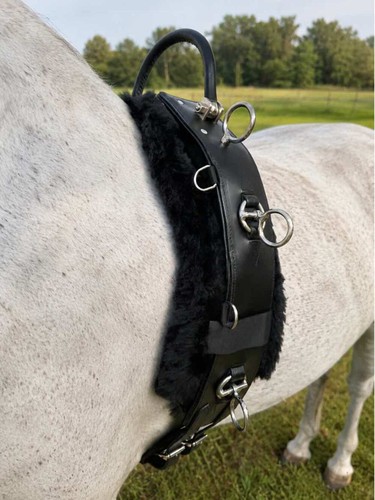 Weissl longiergurt leder mit - longiergurt,