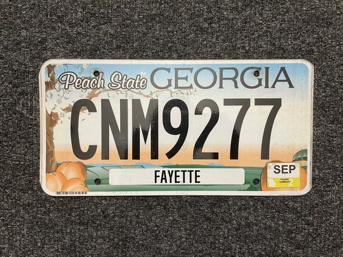Nummernschild amerika american - amerika,