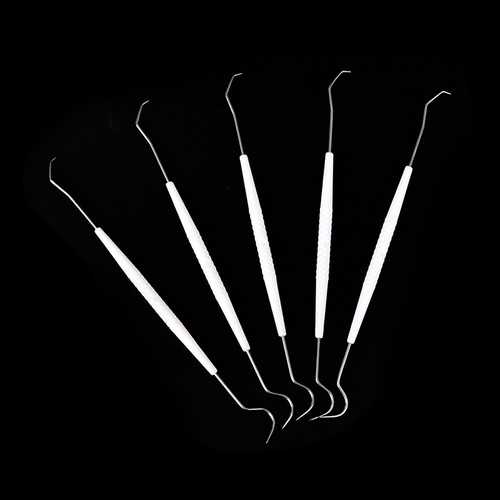 10x doppelhaken zahn dental - zahn,