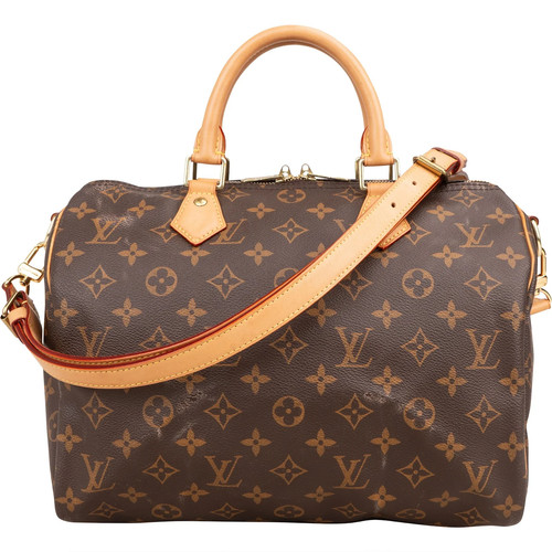 Louis vuitton monogram - monogram, canvas