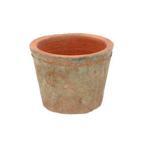 Terracotta blumentopf - blumentopf, im