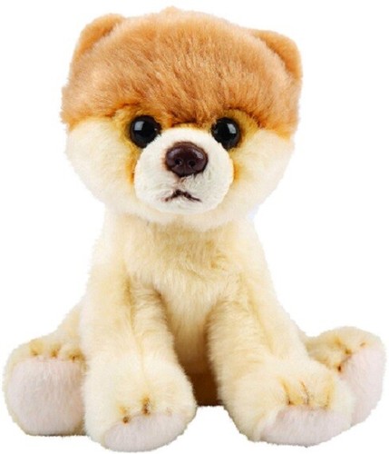 Suki 12131 pomeranian - suki,