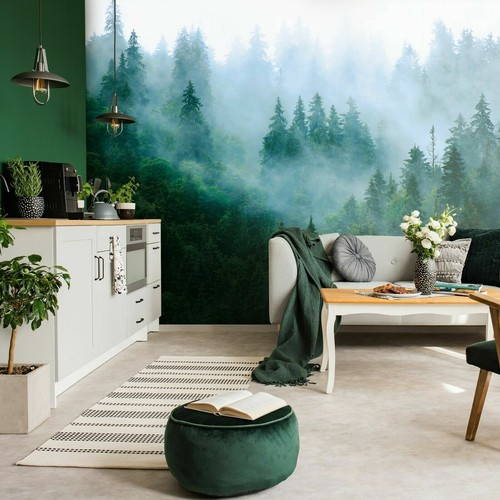 Wald nebel natur - wald,