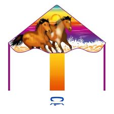 Kinderdrachen Einleiner