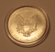 USA - 1 Unze Silber - 2010 -