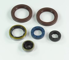 ATHENA Motor Simmerring Satz