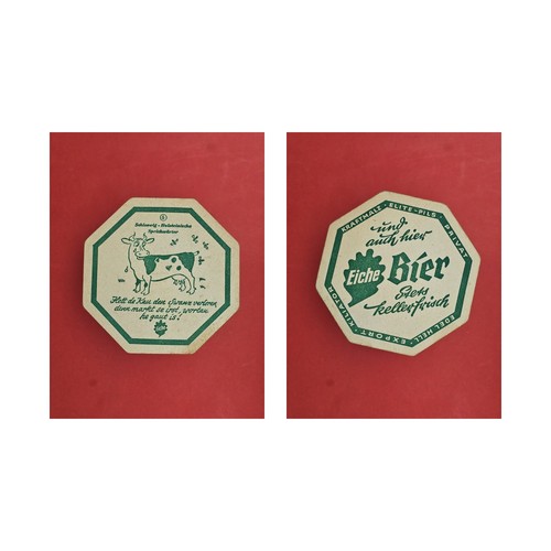 Eiche schleswig holsteinische - eiche, schleswig-holsteinische