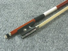 Geigenbogen, Fernambuk