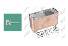 Vaillant Wärmetauscher BW 38