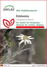 SAFLAX - Samen - Edelweiss - 500 Samen