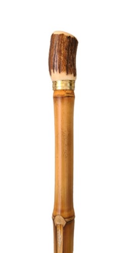 Flanierstock bambus mit - bambus,