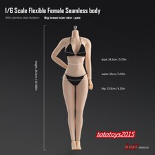 1/6 Large Bust Breast Female