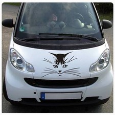 Katze Katzenkopf Motorhauben