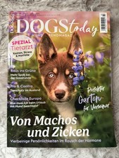 Dogs Today 03/2025 Hunde Magazin/Zeitschrift