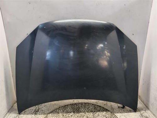 Motorhaube volkswagen golf - volkswagen,