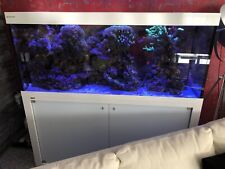 1 Kilogramm Meerwasser   echtes Riffgestein aus laufender Anlage Entnommen