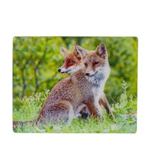 3D Magnet Tiere - Fuchs