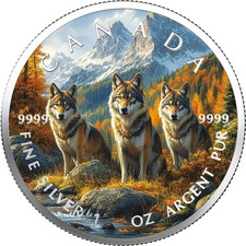 2025 Kanada 5 $ Wolf Wulf 1 Oz Silber 999 BU color CoA OVP NUR 100 Münzen