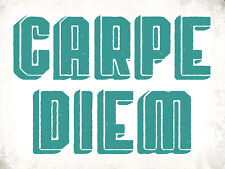 Holzschild 30x40 carpe diem