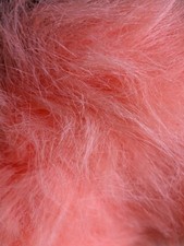 ZOTTEL FELL Flor 12cm Lachs