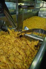 801062 Käseherstellung A4