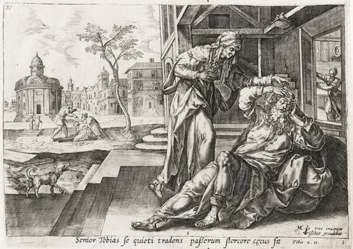Maarten vos bird - maarten, droppings