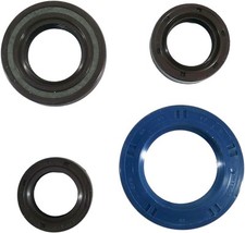 Motorsimmerringsatz 4tlg. für