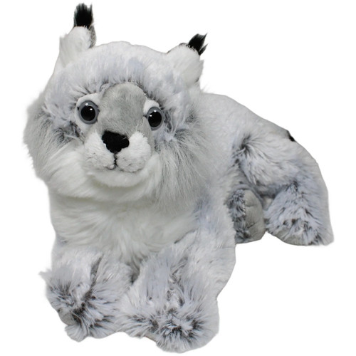 Nature planet luchs - nature,