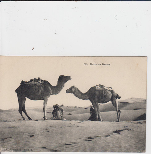 Nord afrika sahara - nord,