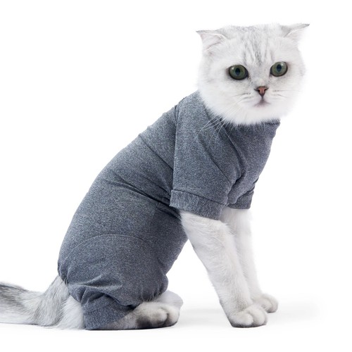 Katzenbody nach katzen body - katzenbody,