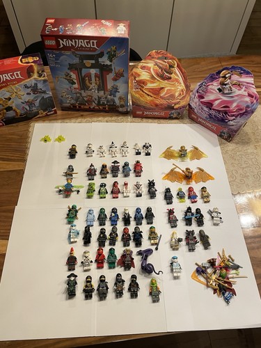Lego ninjago figuren auch - ninjago, 62