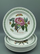 Portmeirion The Botanic Garden