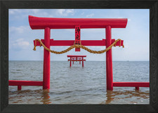 Floating Torii Gates in Japan