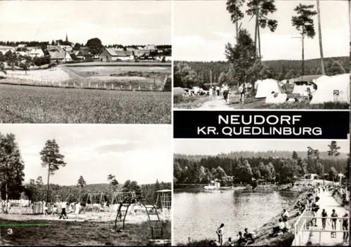 50468779 4301 neudorf harz - -,
