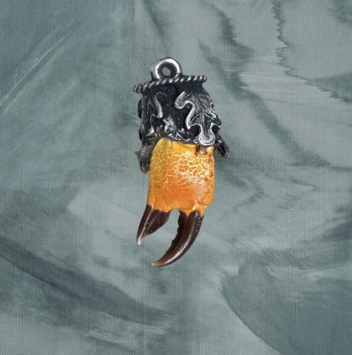 Charivari scharivari krebs - scharivari,
