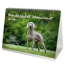 Hundezauber Weimaraner DIN A5 Tischkalender für 2026 Welpen und Hunde - Seelenza