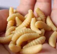 Köderwürmer Kunststoff Angeln Fake Simulation Künstliche Imitation Tackle Köder Neu