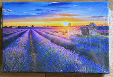 Leinwand Bild Lavendelfelder