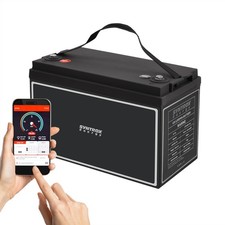 12V 100Ah LiFePO4 Akku BMS +