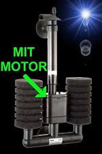 🍀 DOPPEL BIO MOTOR