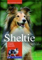 Sheltie charakter erziehung - charakter,