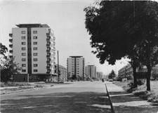 AK Eisenhüttenstadt Leninallee Echt Foto Postkarte DDR (D40299)